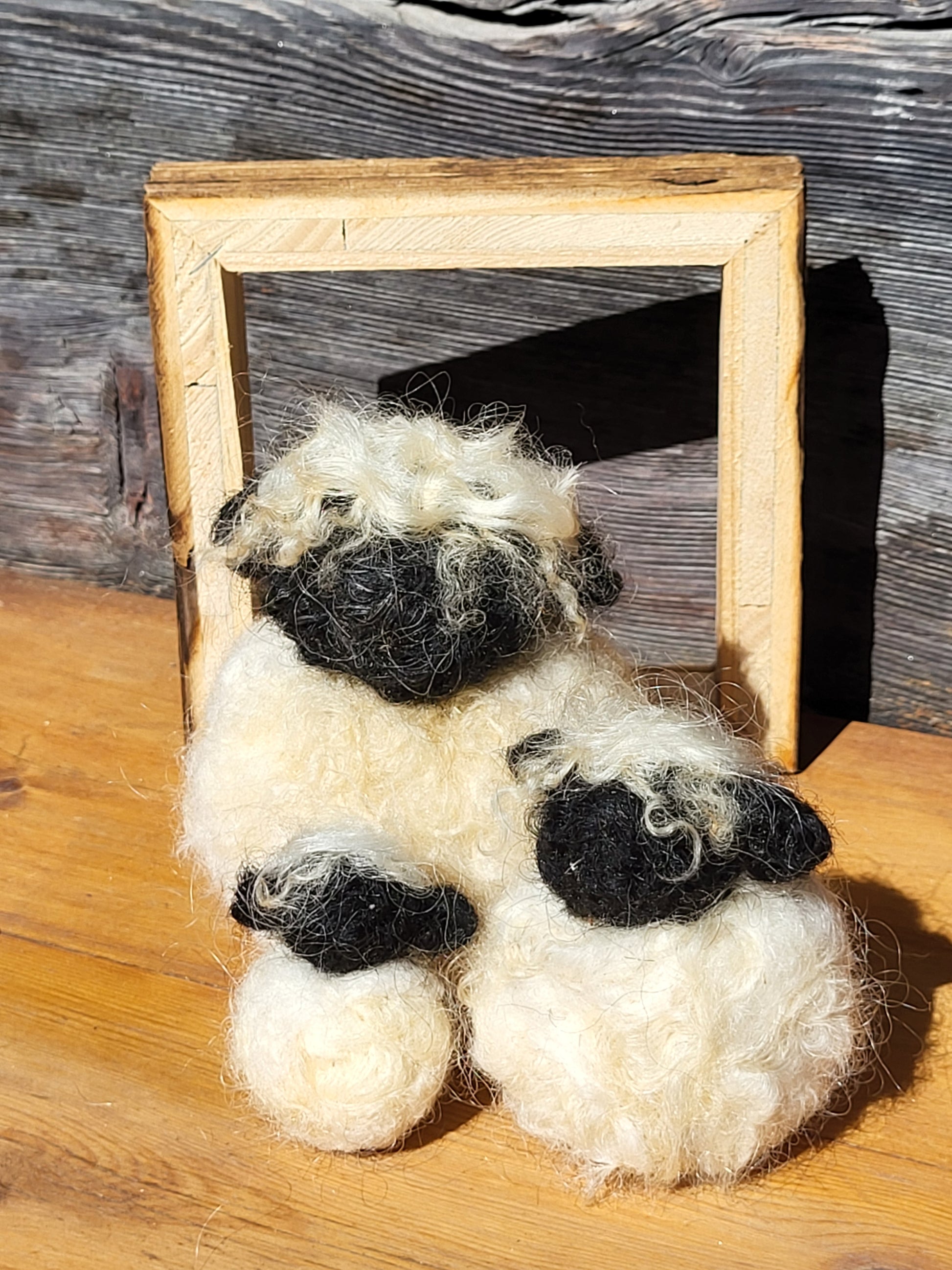 Sheep family